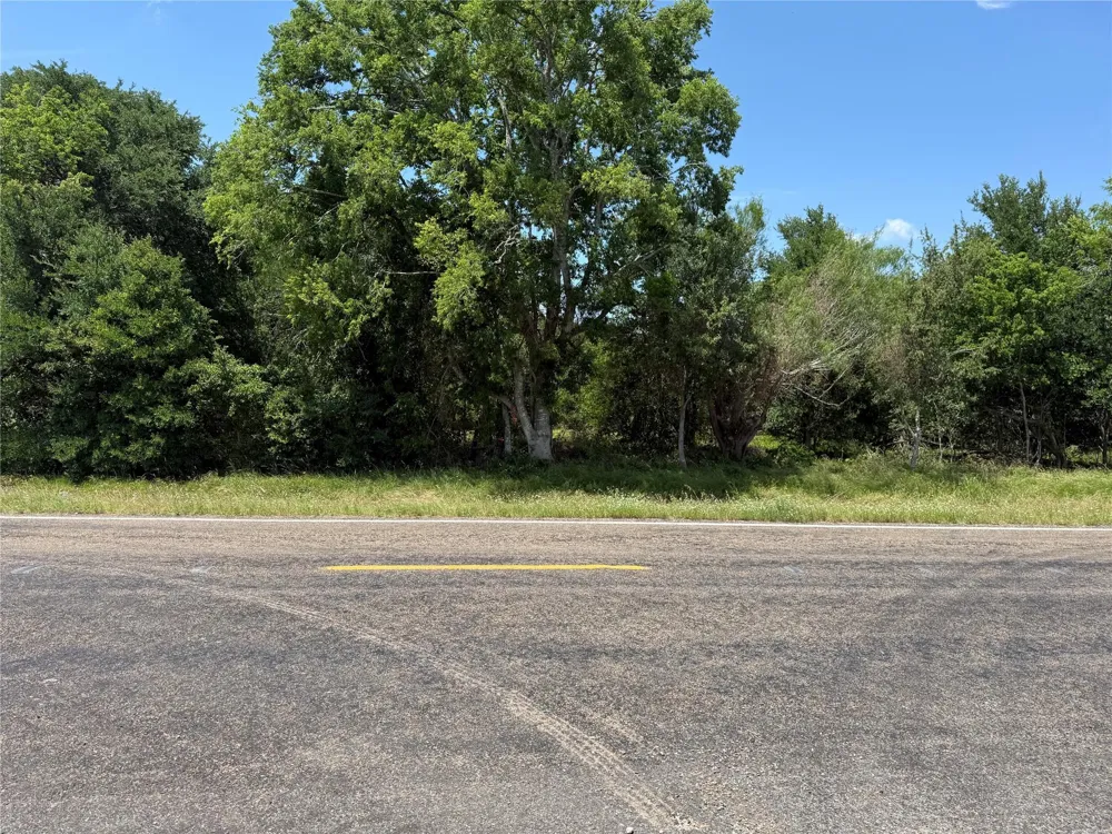 County Road 438 Snook, TX 77878