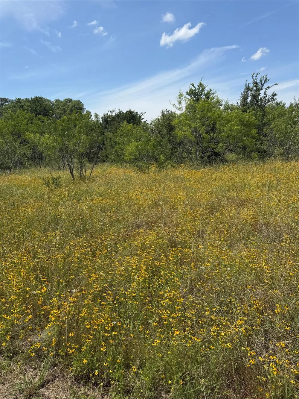 County Road 438 Snook, TX 77878