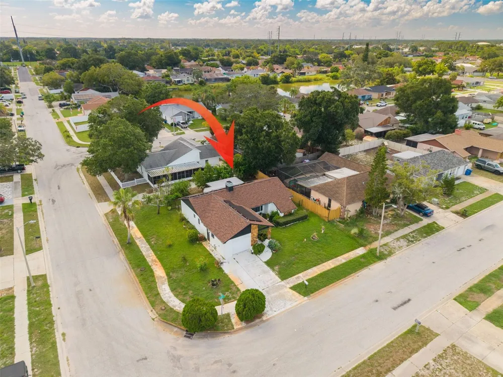 1338 GREENLEA DRIVE Holiday, FL 34691