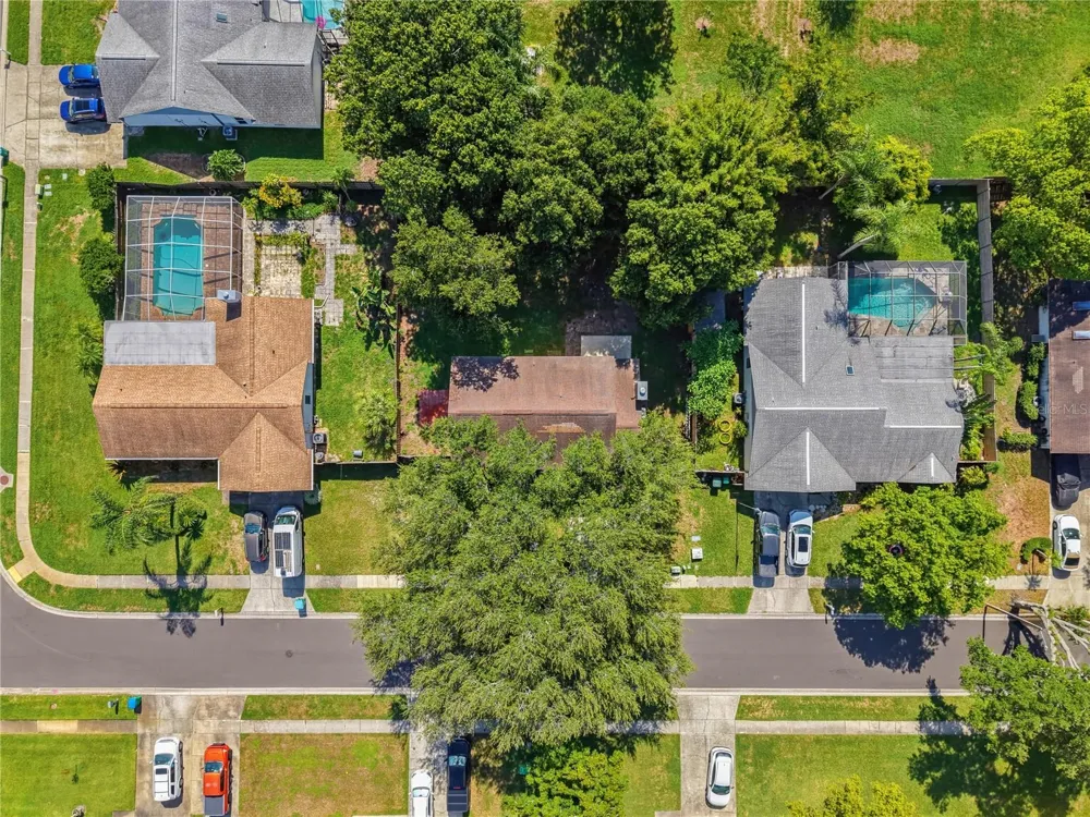414 STILL MEADOWS CIRCLE E Palm Harbor, FL 34683