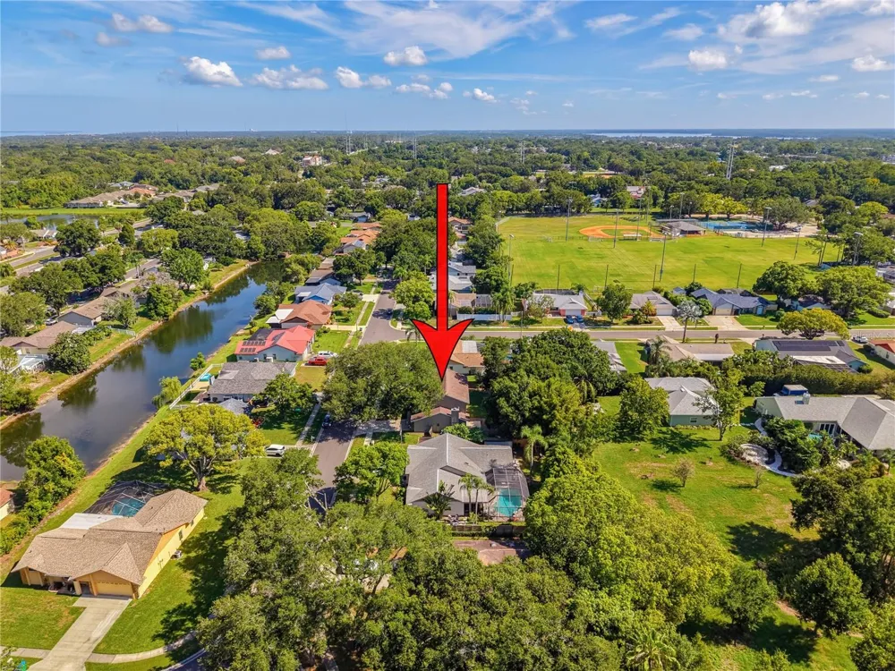 414 STILL MEADOWS CIRCLE E Palm Harbor, FL 34683
