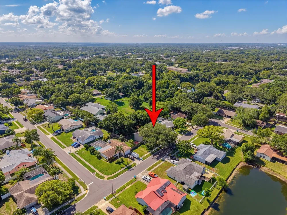 414 STILL MEADOWS CIRCLE E Palm Harbor, FL 34683