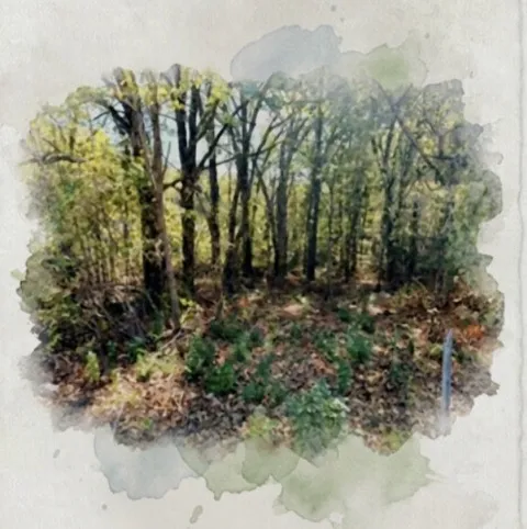 207 Acres Loop