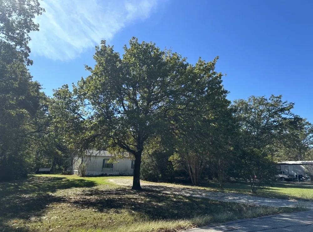 207 Acres Loop Gun Barrel City, TX 75156