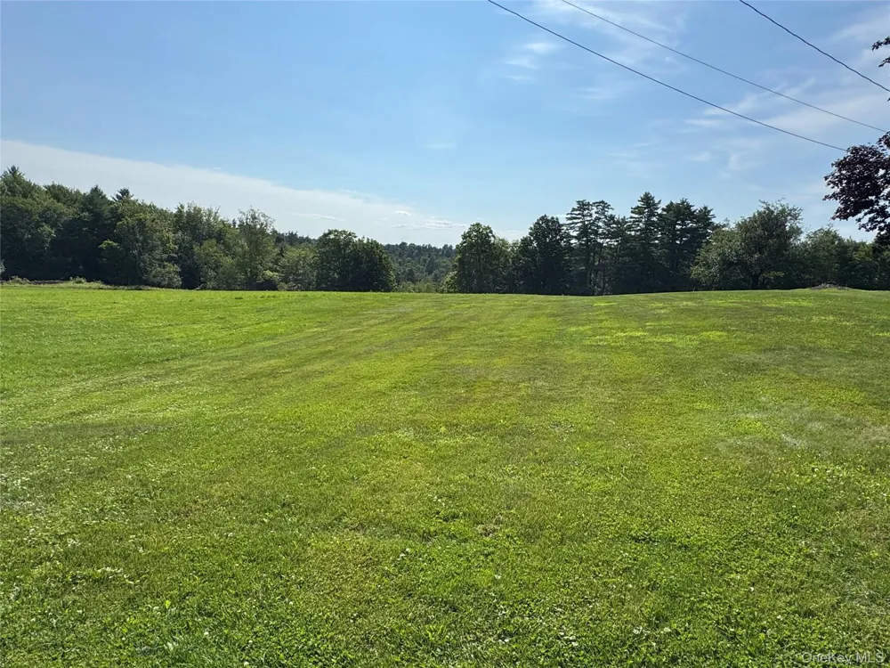 196 & 203 Rubin Road Monticello, NY 12701