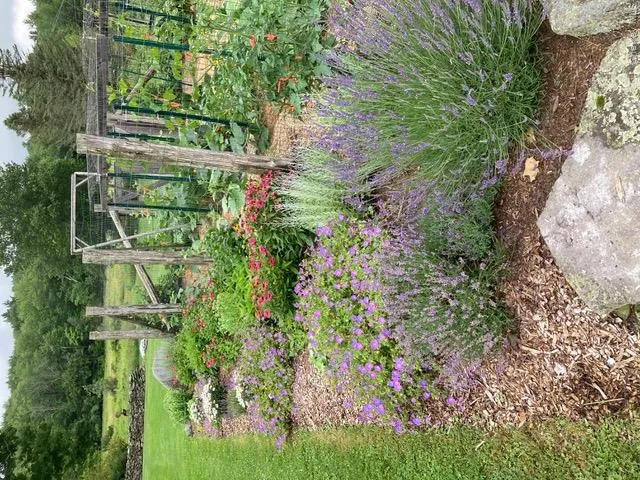 196 & 203 Rubin Road Monticello, NY 12701