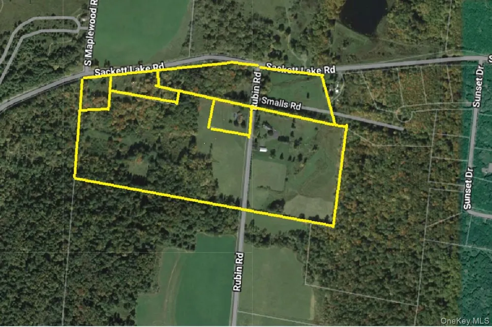 196 & 203 Rubin Road Monticello, NY 12701