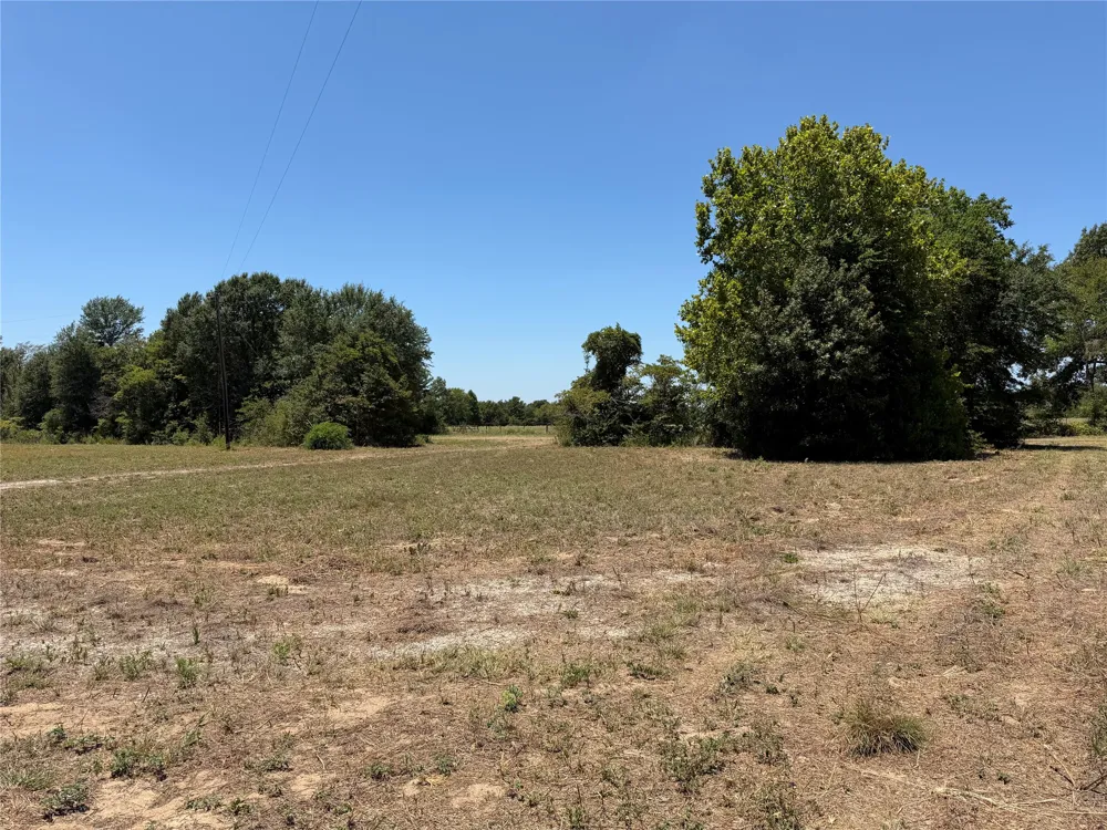 1288 County Road 4414 Canton, TX 75103