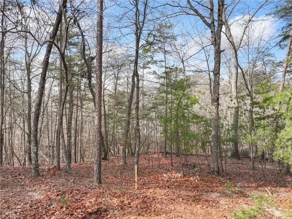Lot 20 Crown Mountain Way Dahlonega, GA 30533