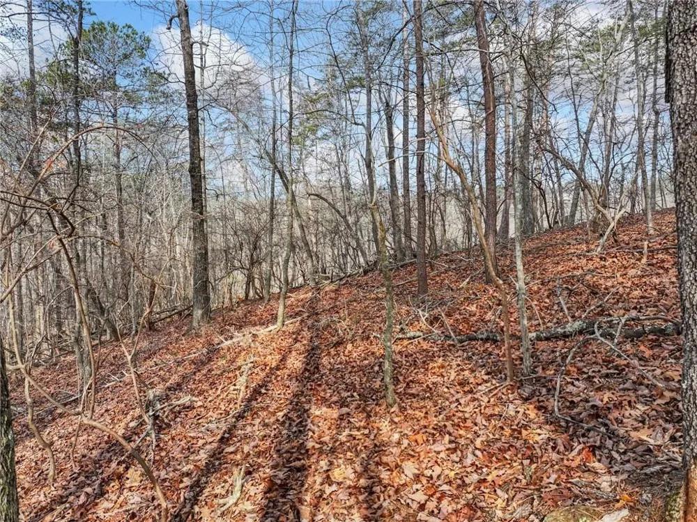 Lot 20 Crown Mountain Way Dahlonega, GA 30533