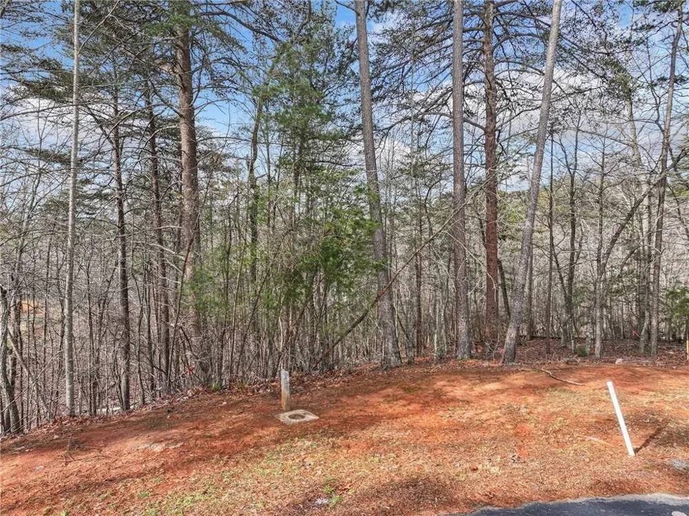 Lot 20 Crown Mountain Way Dahlonega, GA 30533