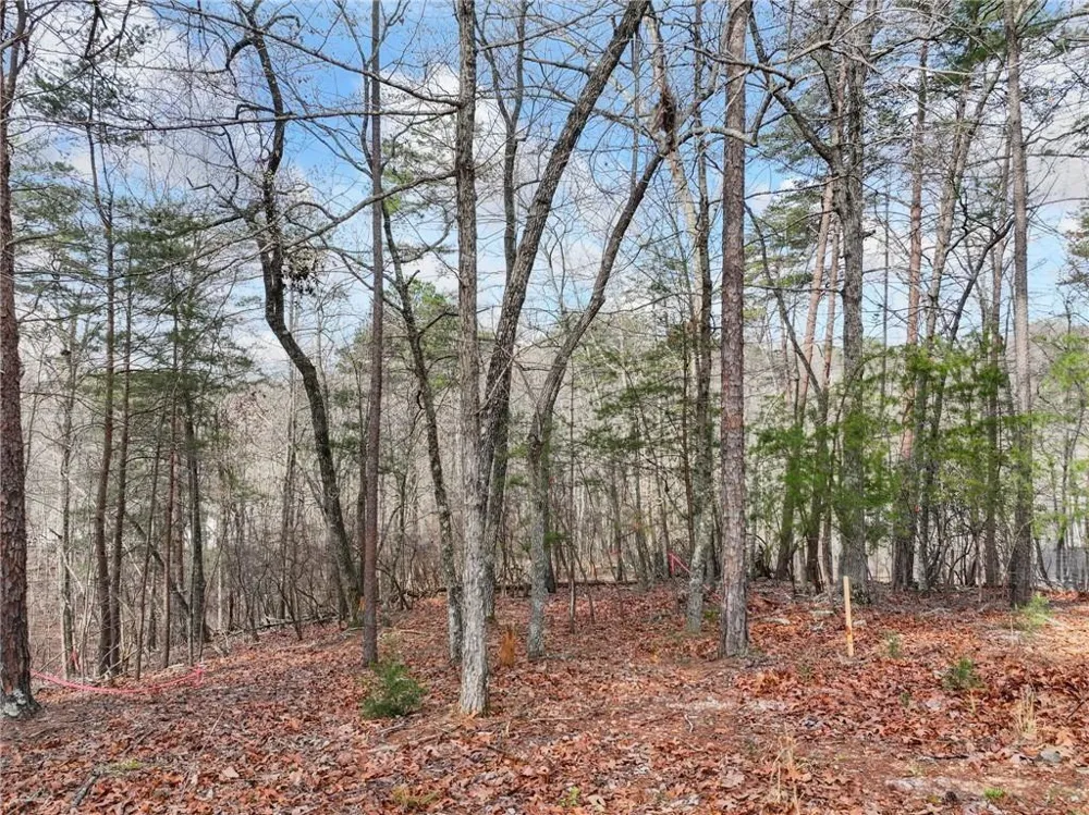 Lot 20 Crown Mountain Way Dahlonega, GA 30533