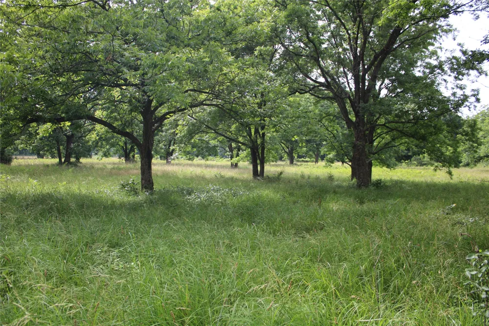 S 426 ROAD Pryor, OK 74361