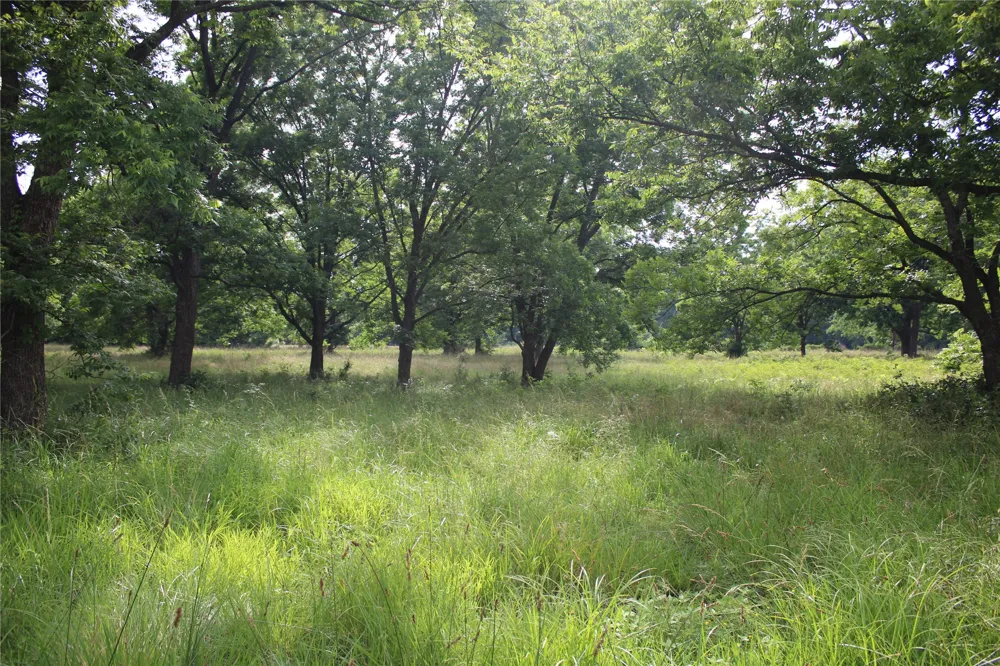 S 426 ROAD Pryor, OK 74361