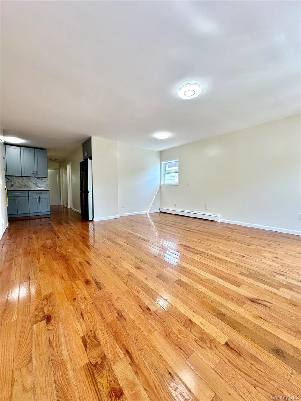 2069 Lacombe #2 Bronx, NY 10473