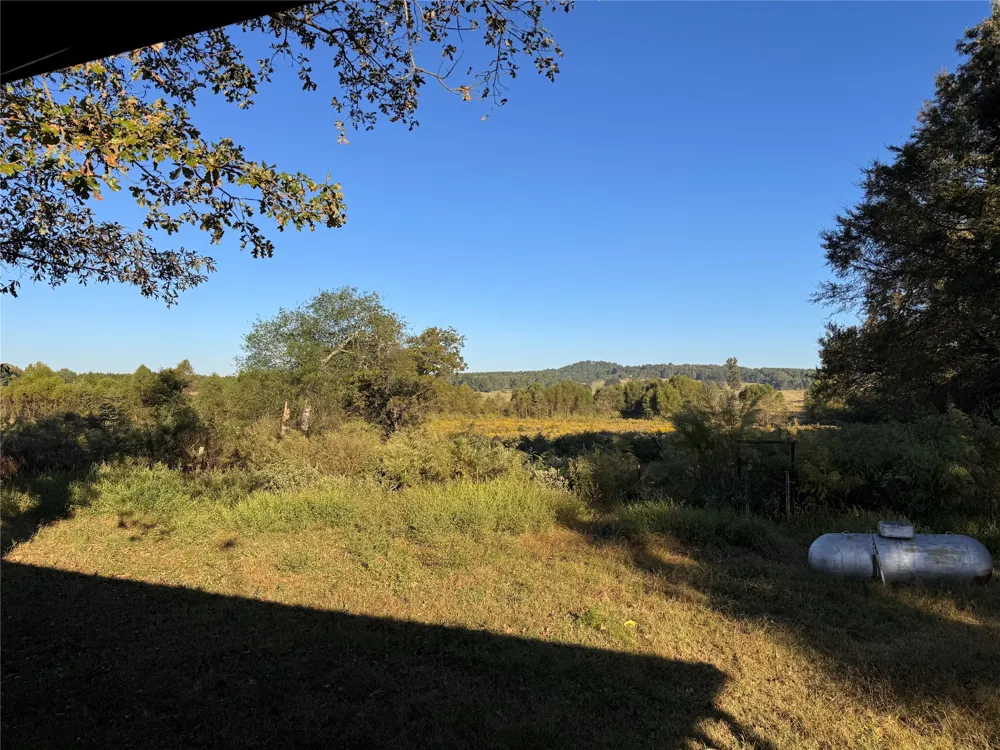 4537 PR 2301 Gilmer, TX 75644