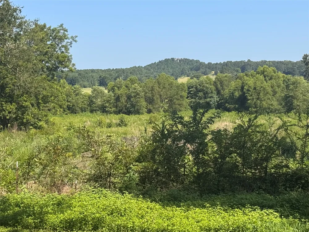 4537 PR 2301 Gilmer, TX 75644