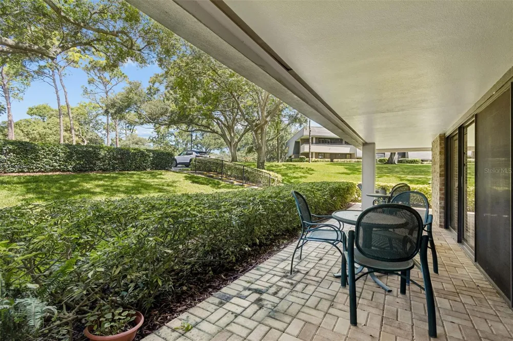 36750 US HIGHWAY 19 #21102 Palm Harbor, FL 34684