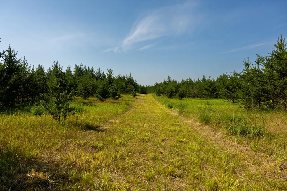 Tract 2 - 39794 259th Ave Menahga, MN 56464