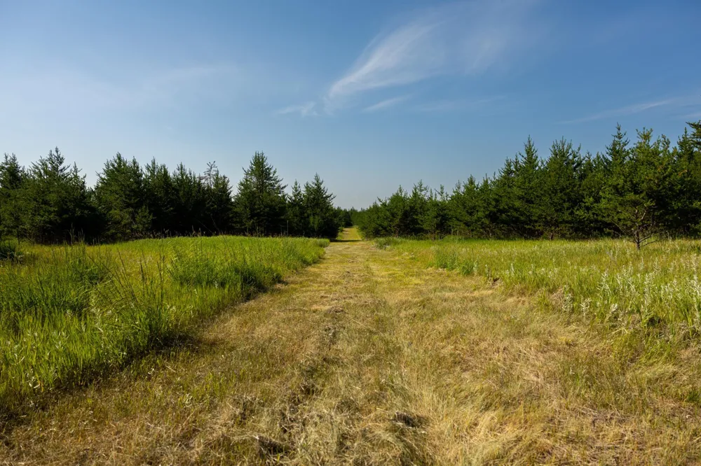 Tract 2 - 39794 259th Ave Menahga, MN 56464