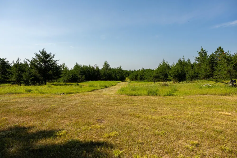 Tract 2 - 39794 259th Ave Menahga, MN 56464