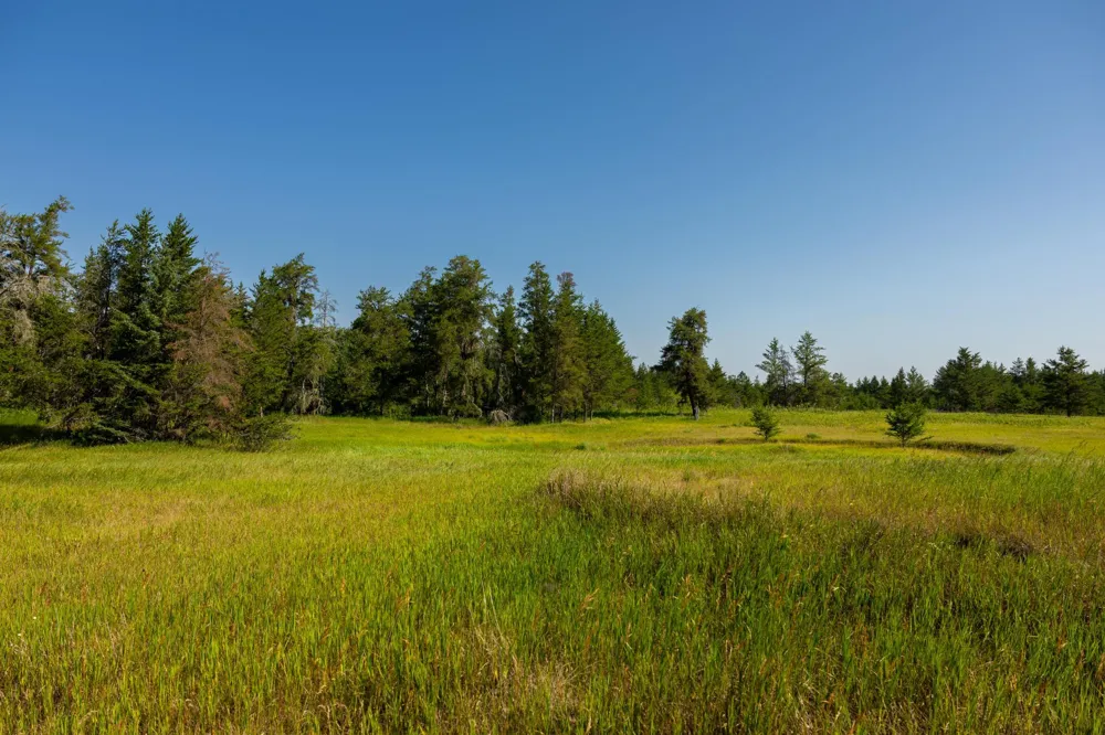 Tract 2 - 39794 259th Ave Menahga, MN 56464