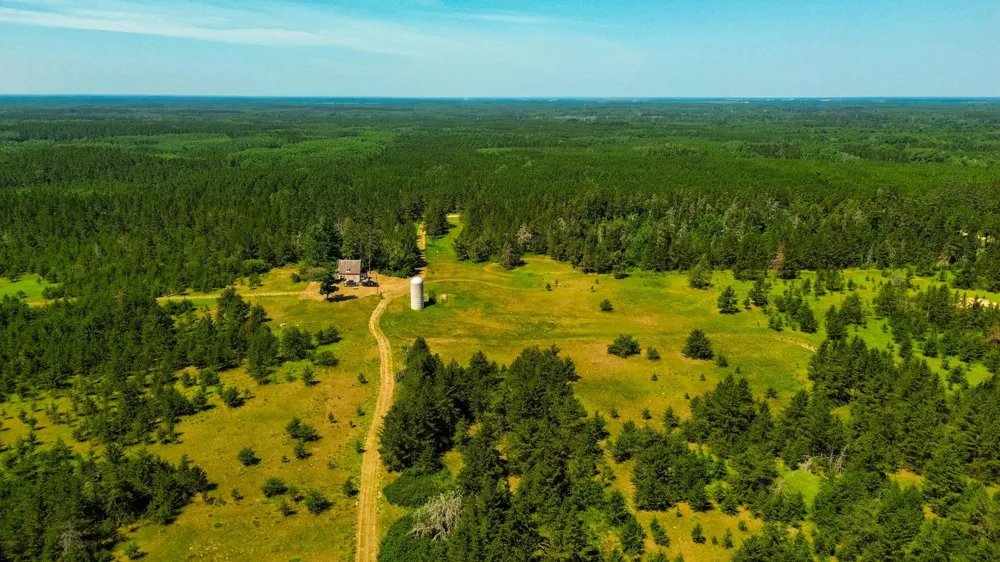 Tract 2 - 39794 259th Ave Menahga, MN 56464