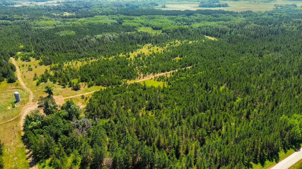 Tract 2 - 39794 259th Ave Menahga, MN 56464
