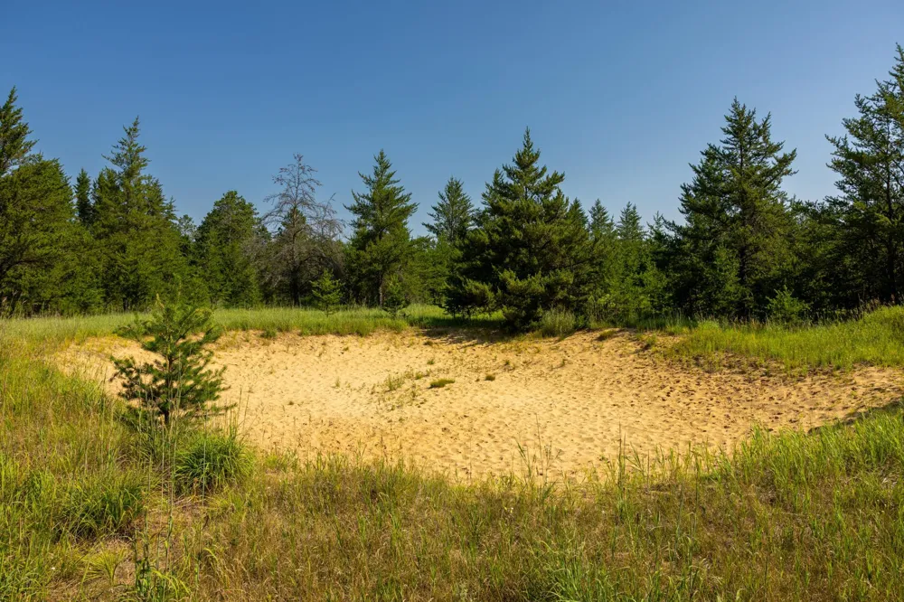 Tract 2 - 39794 259th Ave Menahga, MN 56464