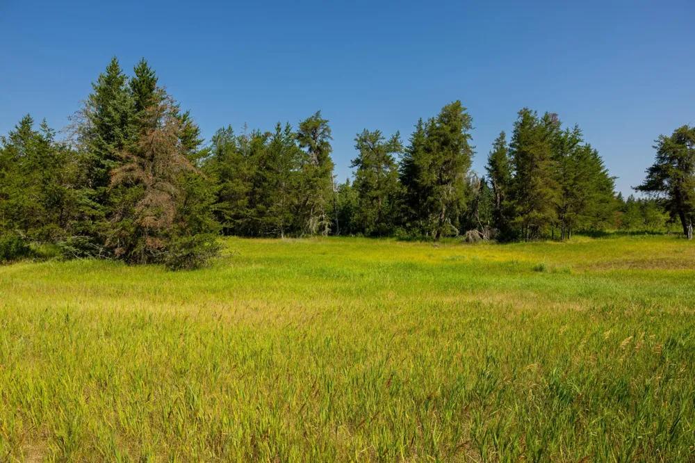 Tract 2 - 39794 259th Ave Menahga, MN 56464