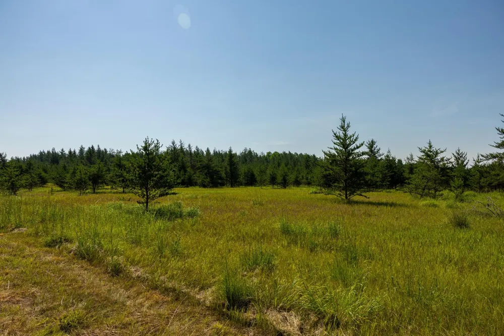 Tract 2 - 39794 259th Ave Menahga, MN 56464