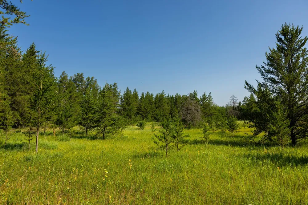 Tract 2 - 39794 259th Ave Menahga, MN 56464