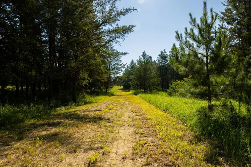 Tract 2 - 39794 259th Ave Menahga, MN 56464