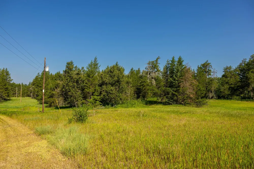 Tract 2 - 39794 259th Ave Menahga, MN 56464