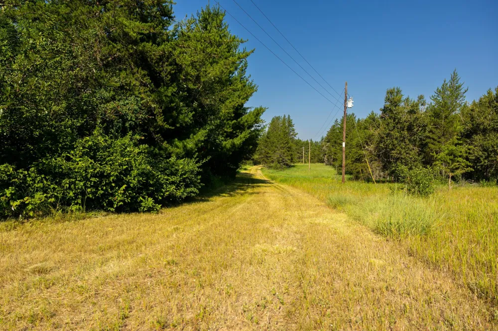 Tract 2 - 39794 259th Ave Menahga, MN 56464