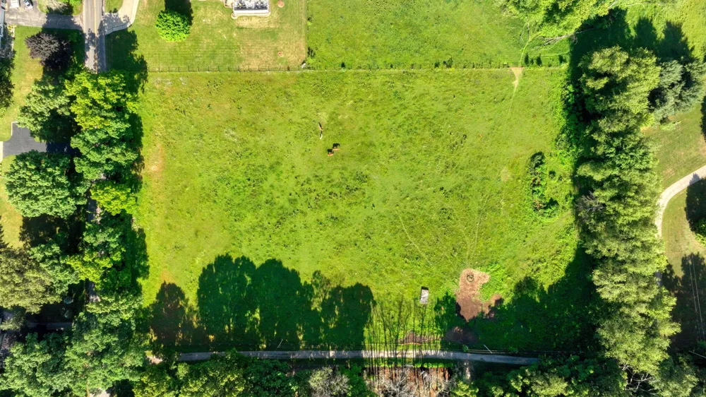 Reed Road Clarklake, MI 49234