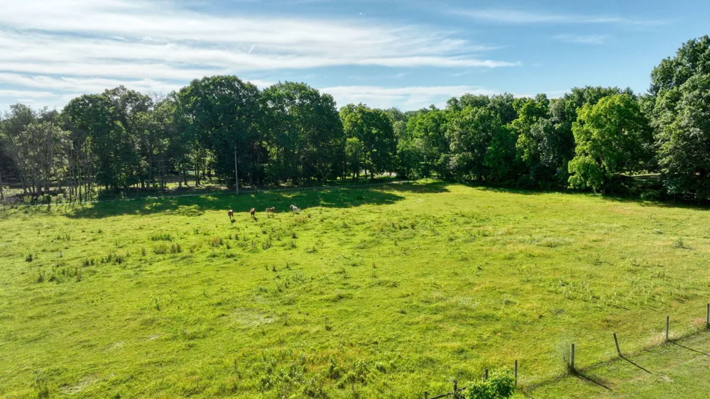 Reed Road Clarklake, MI 49234