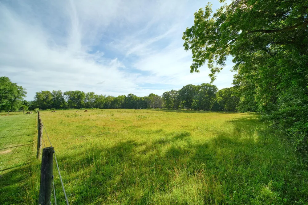 Reed Road Clarklake, MI 49234