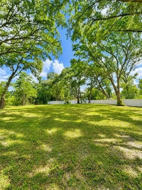 17430 BLACKWELL LANE Lutz, FL 33549