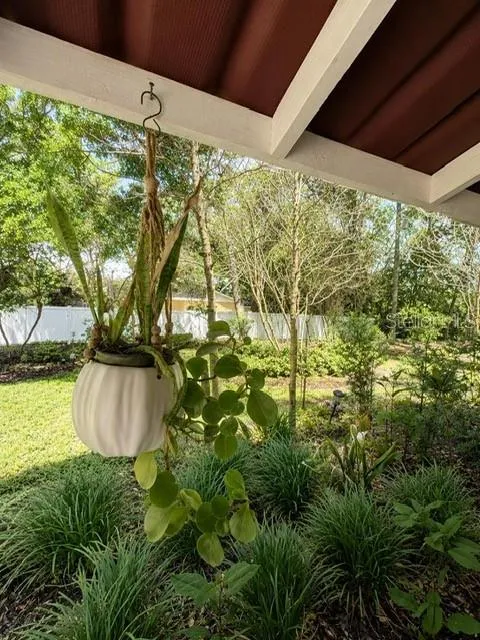 17430 BLACKWELL LANE Lutz, FL 33549