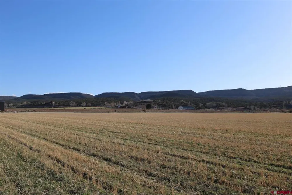 2 5790 ROAD Montrose, CO 81403