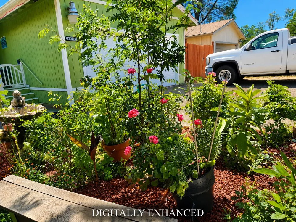 32633 Road 222 North Fork, CA 93643