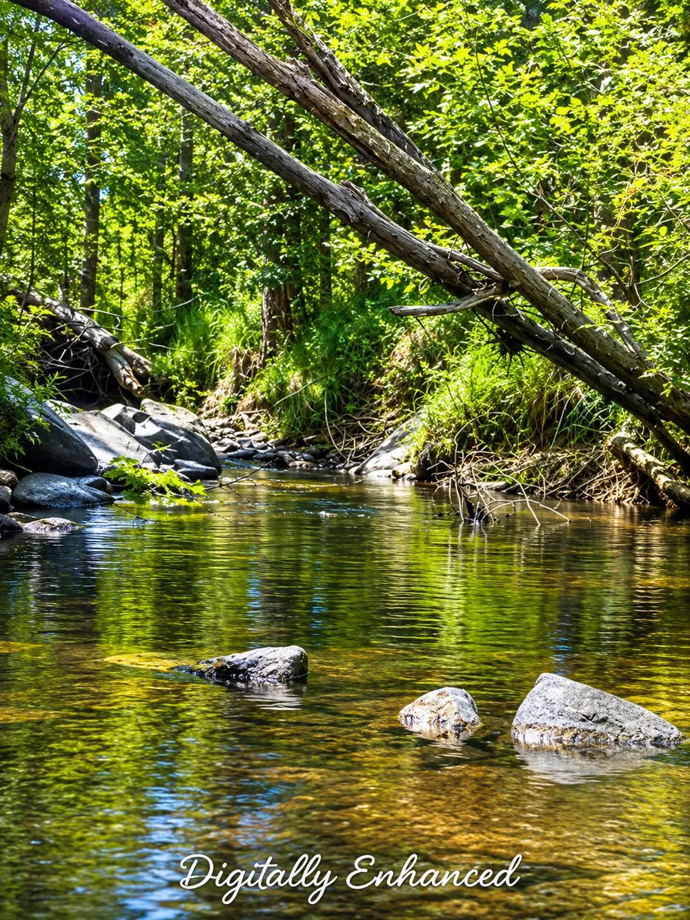 32633 Road 222 North Fork, CA 93643