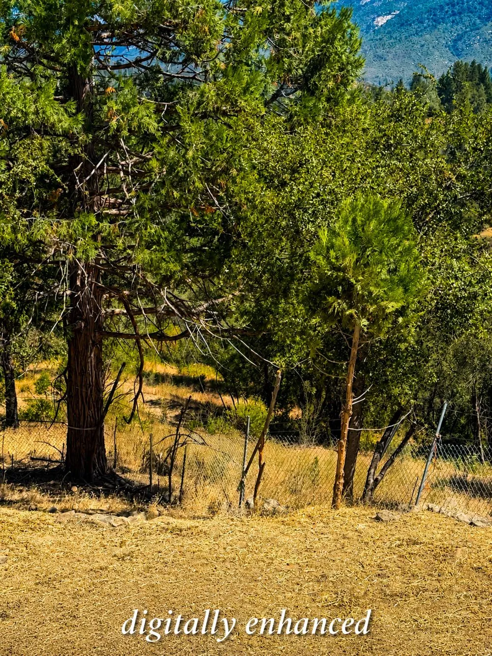 32633 Road 222 North Fork, CA 93643