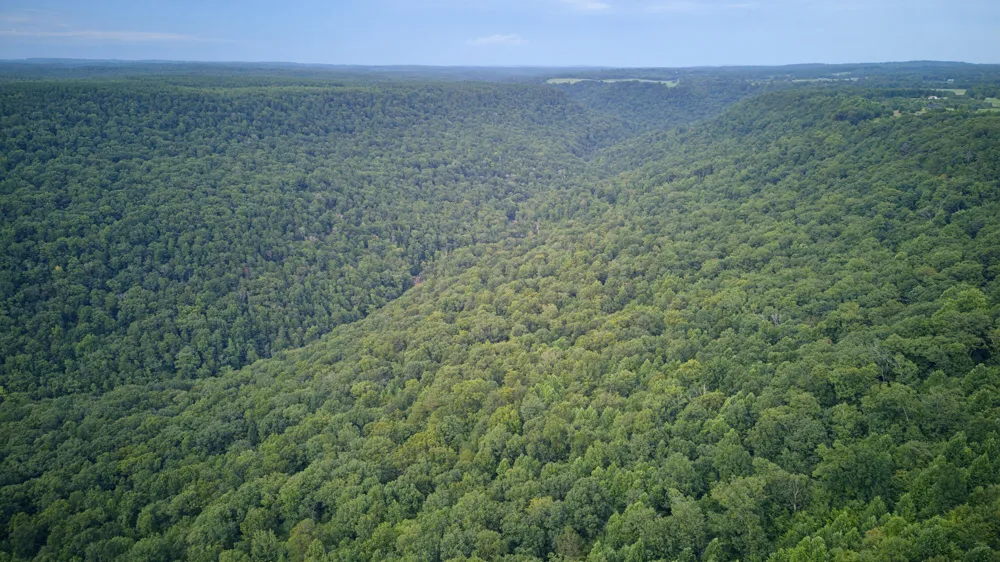 1400 County Road 818 Bryant, AL 35958