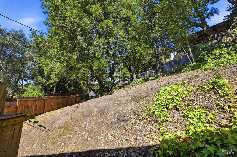 42 Oxford Drive San Rafael, CA 94903