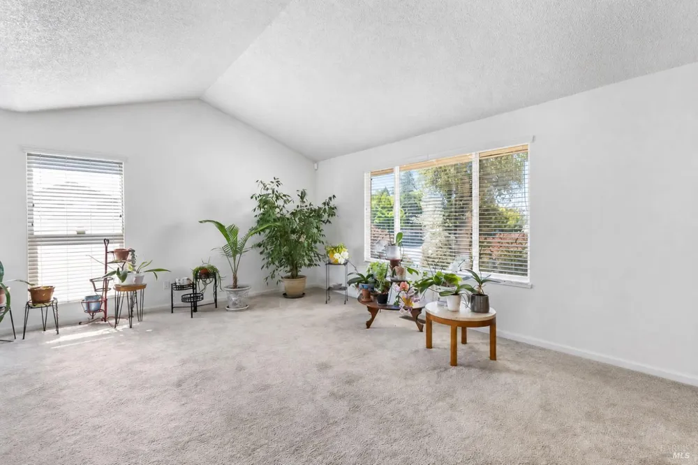 725 Park Lane Petaluma, CA 94954