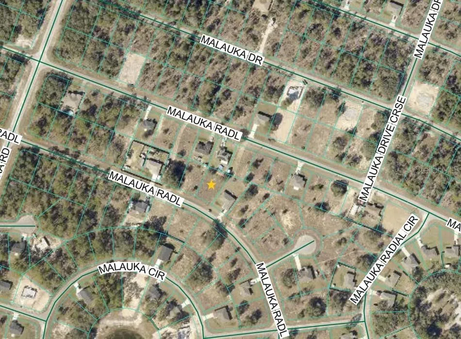 MALAUKA RADIAL Ocklawaha, FL 32179