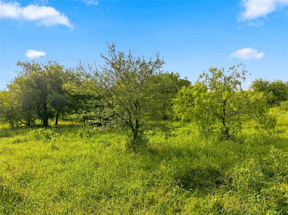 494 Quillian Trace Waco, TX 76705