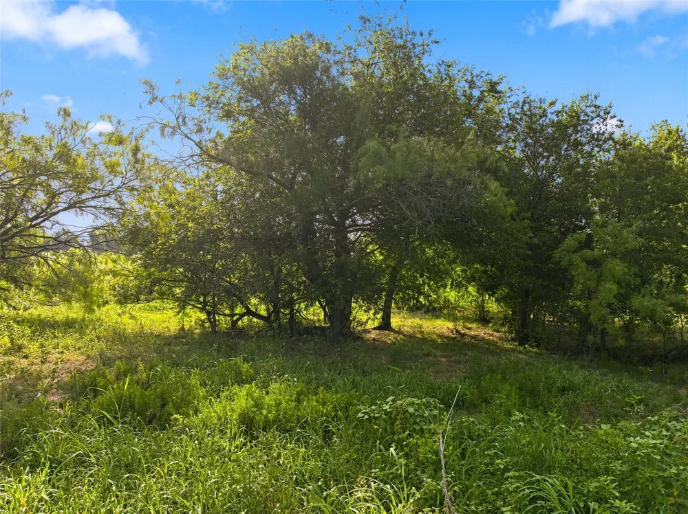494 Quillian Trace Waco, TX 76705